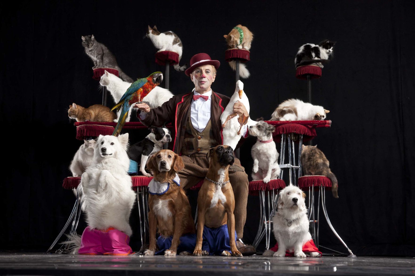 1-9-20 Popovich with All Animals.jpg